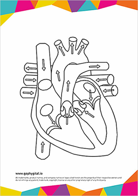 GoPhygital_AR_Heart